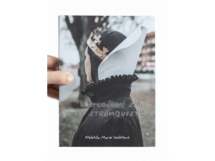 V zrcadlové síni – Liv Strömquist