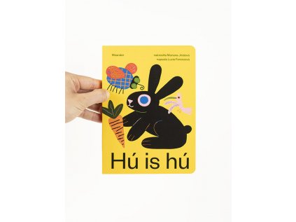 HuIsHu01