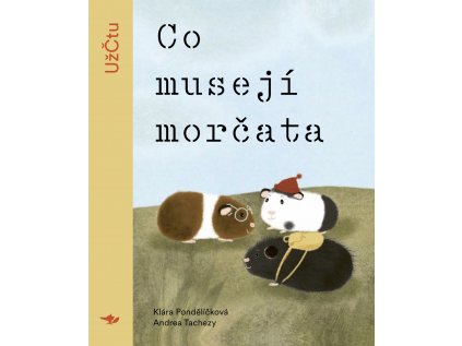 co museji morcata obalka (1)