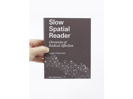 Slow Spatial Reader / Chronicles of Radical Affection – Carolyn F. Strauss (Ed.)