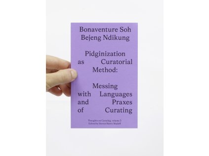 pidginization as curatorial method