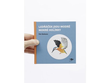 lednacek jsou modre mokre holinky cover