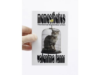 memestethics cover