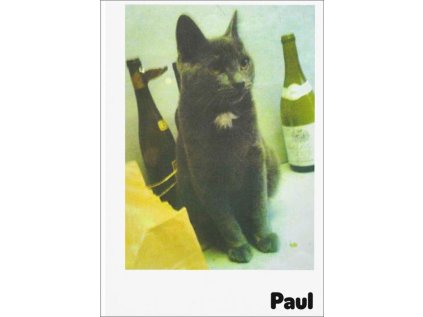 24600.paul.9783907384114.jpg 1920x1920