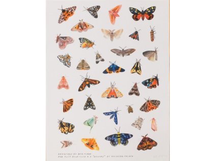 Ben Clark: A3 Risografie Moths