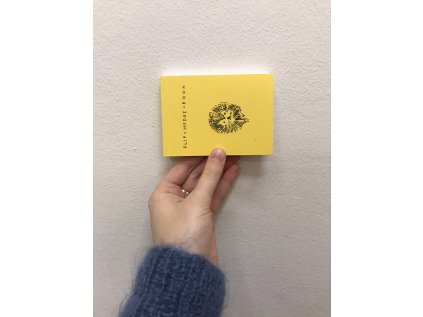 Flipbook – Anticipation – Ilya Kreines