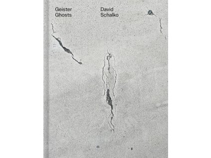 Geister / Ghosts – David Schalko