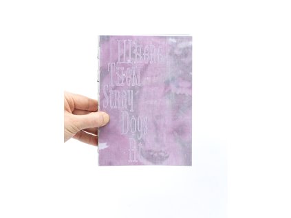 Where Them Stray Dogs At / Liminal Thoughts on Balkanism, Gentrification and Nostalgia – Barbora Ilič (ed.)