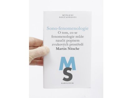 sono fenomenologie cover