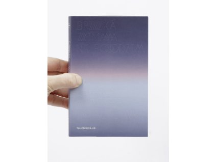 Brzka zima na podzim cover