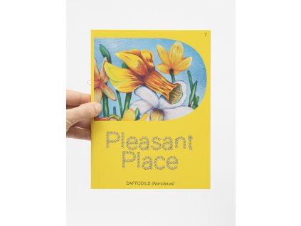 Pleasant Place 7: Daffodils