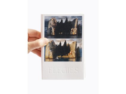 Elegies / Laments for an architectural project