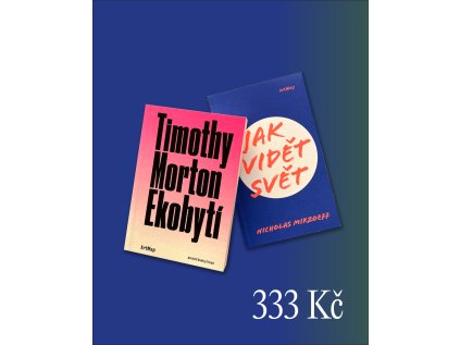 Artmap vanocni balicky 01