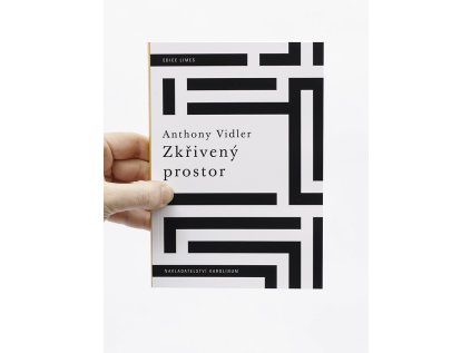Zkřivený prostor /  Umění, architektura a úzkost v moderní kultuře – Anthony Vidler