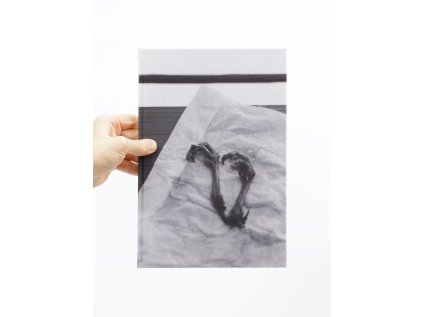 Libuše Jarcovjáková: Supersonico²