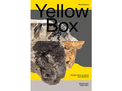 Yellow Box Bára Mrázková