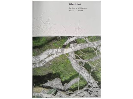 Atlas křoví – Barbora Müllerová a Nora Třísková