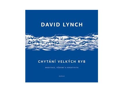 Chytání velkých ryb / Meditace, vědomí a kreativita – David Lynch