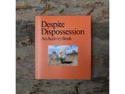 K.2021 BaldaufED DespiteDispossession cover
