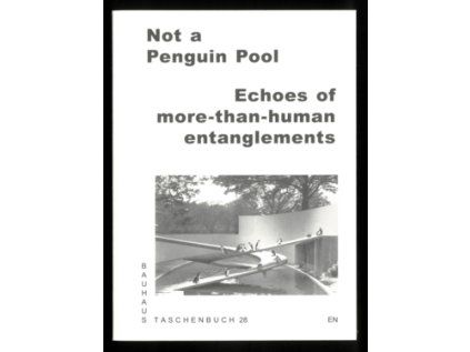 Not a Penguin Pool