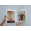 4325 2 ana mendieta traces