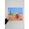 4847 1 pravidla leta shaun tan