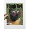 flash art cover II