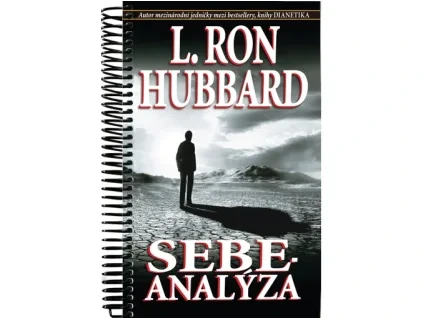 Sebeanalýza
