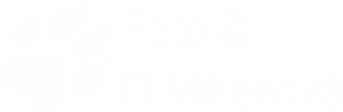 E-shop Moje knihy