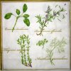 Napkin Herbs Mix