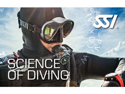 webimage 0E540DF4 F1C7 4809 BC642C07571042F0