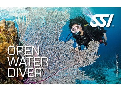 Open Water Diver