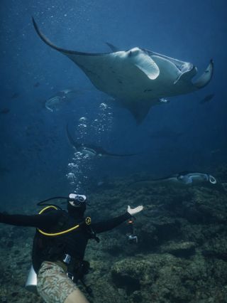 Čtvrtá výprava na Maledivy a už máme za sebou 6 dní plných zážitků. Potápění, šnorchlování, výlety za žraloky a rejnoky,...