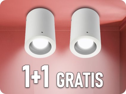 3627 1+1 gratis (1)