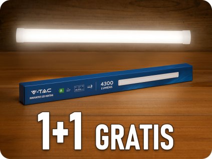 203506 1+1 gratis