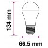 LED Glühbirne - SAMSUNG CHIP 15W E27 A65 Plastic (Lichtfarbe Kaltweiß)