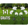 17466 1+1 gratis