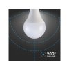E27 LED LAMPEN 20W, 2452LM, A80
