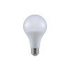 E27 LED LAMPEN 20W, 2452LM, A80