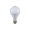 LED-Lampe E27, 20W, 2452lm, A80, 1+1 gratis!
