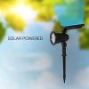 LED-Solar-Steckleuchte, 2 W, 180 lm, 50°, schwarz
