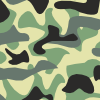 CAMOUFLAGE