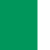 GREEN/WHITE