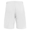 34933 5 mesa hero shorts