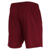 34933 61 mesa hero shorts
