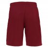 34933 65 mesa hero shorts