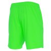 34933 73 mesa hero shorts