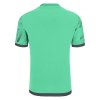 35065 68 themis eco shirt wht roy ss barva turquoise gun metal pocet kusu v baleni 1 velikost xxs
