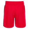 35095 4 platinum eco shorts