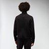 ATH ICON LUNARIS 1/4 ZIP SWEATSHIRT